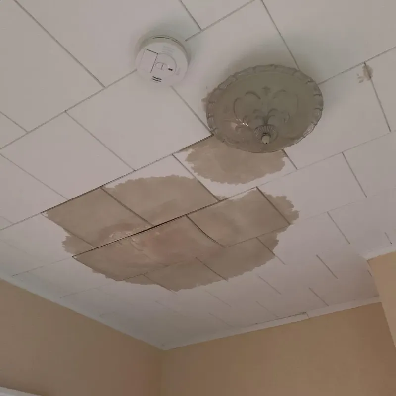 Ceiling Water Damage Repair in Northwest Harwinton, CT