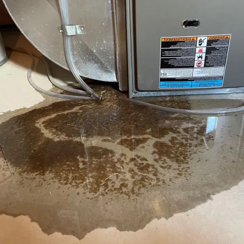 Pipe Burst and Leak Restoration in Northwest Harwinton, CT