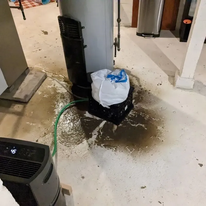 Sewage Backup Cleanup Service in Northwest Harwinton, CT
